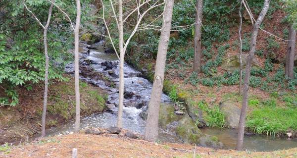 creek hepburn mineral springs reserve
