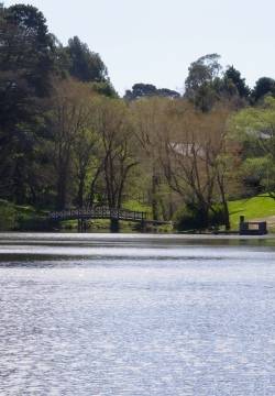 lake daylesford picnic area