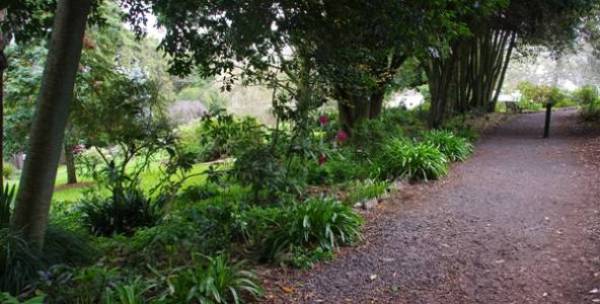 Daylesford Wombat Hill botanical gardens garden path