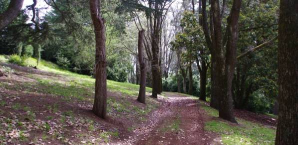 Daylesford Wombat Hill botanical gardens walking path